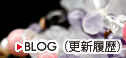 BLOG(更新履歴)